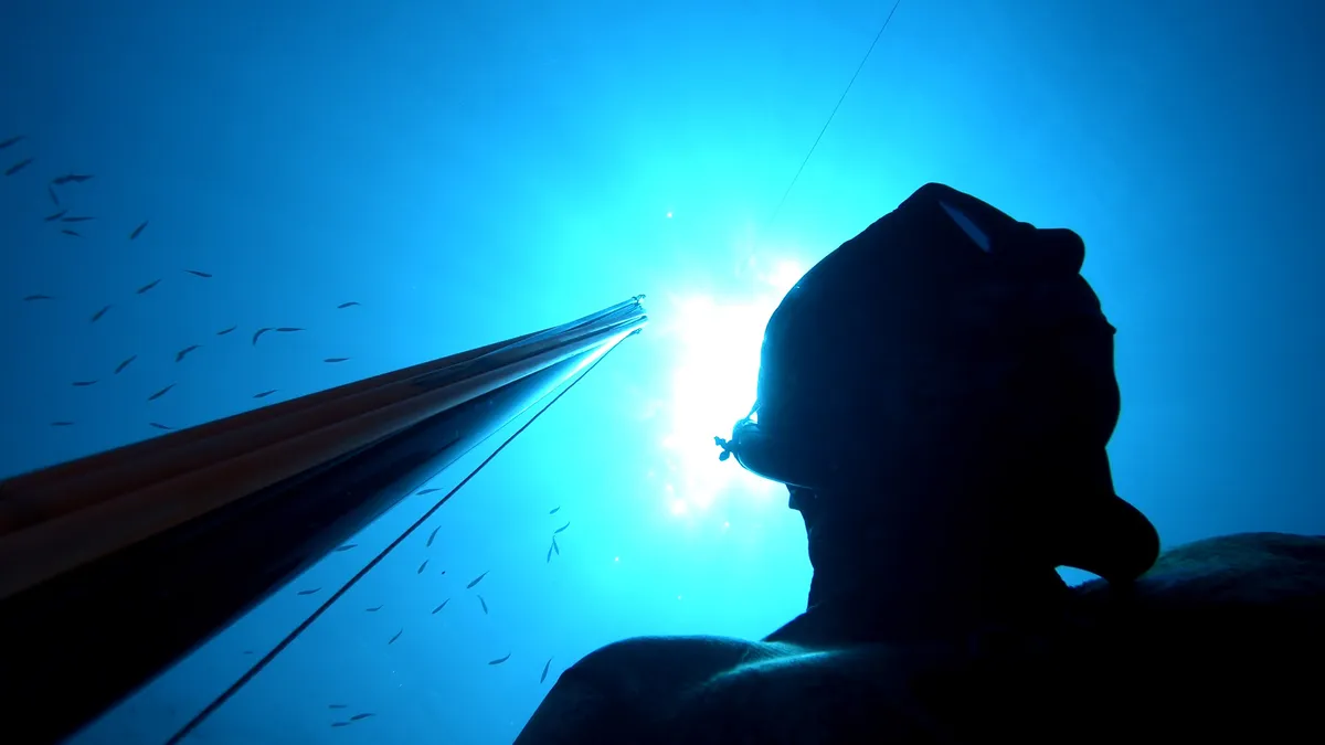 AIDA Freediving Malta website preview