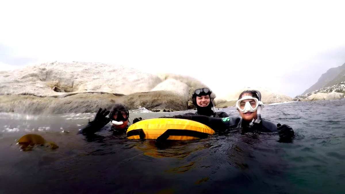 Cape Town Dive Centre website preview