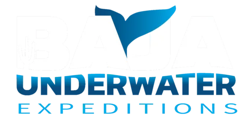 Baja Underwater Expeditions logo