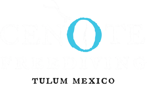 Cenote Freediving logo from its official website