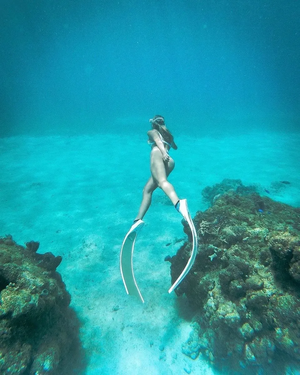 Freedive ~ SCUBA ~ Mermaid Cozumel website preview