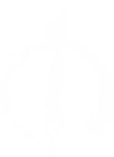 Freedive SuperHOME logo from its official website