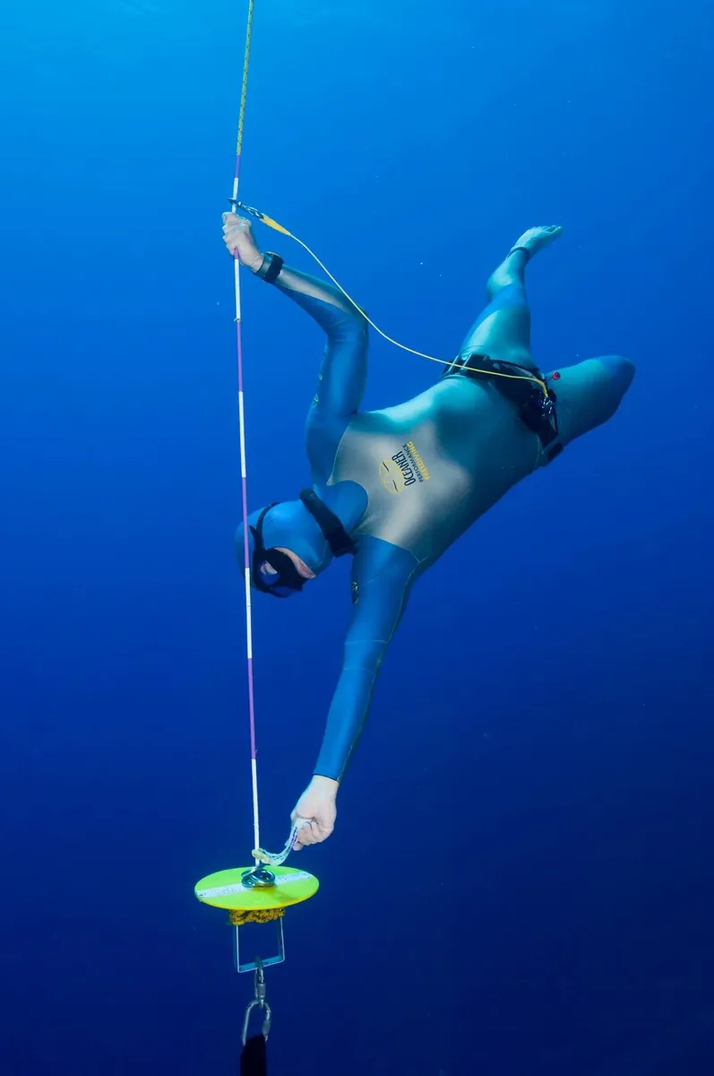 Ocean Freediving International website preview