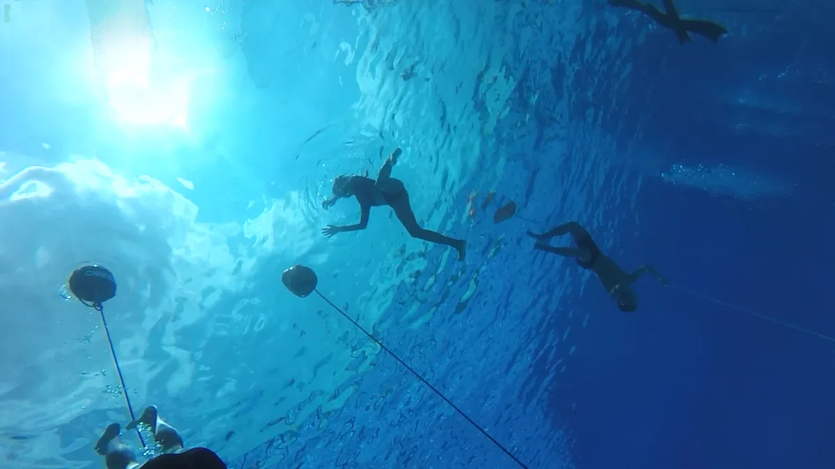 Singapore Freediving Academy website preview