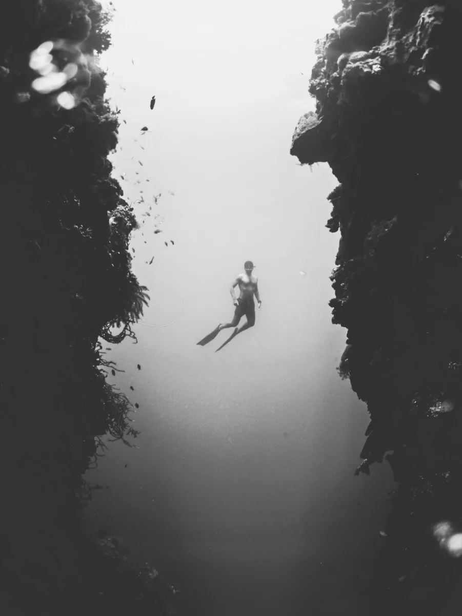 Trident Freediving School website preview