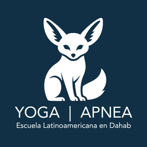 Yoga Apnea logo from its official website